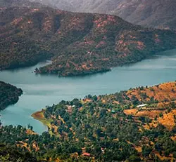 Tapola Jungle